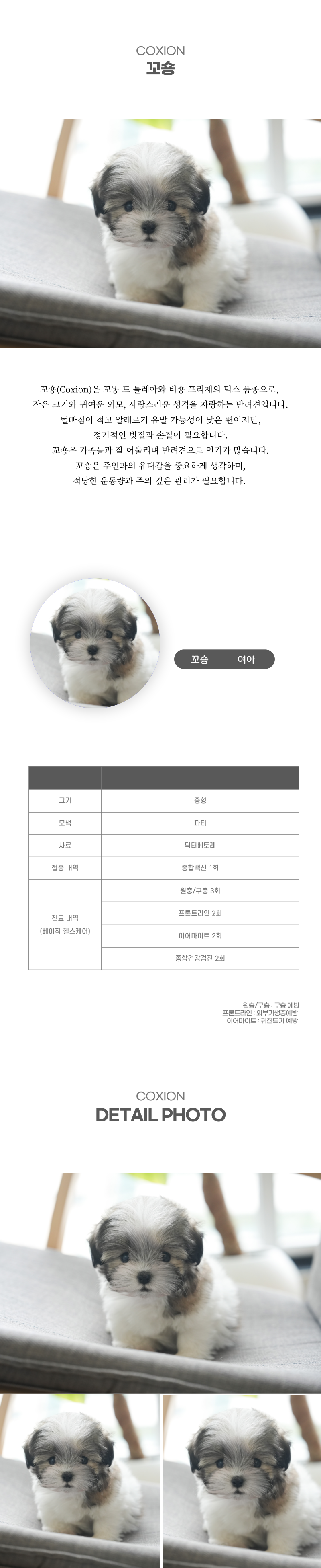 꼬숑_상세이미지_2